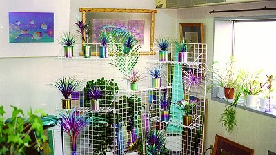 Office Room of Horie Corporation