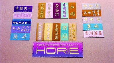 Future Developing Policy of HORIE -2